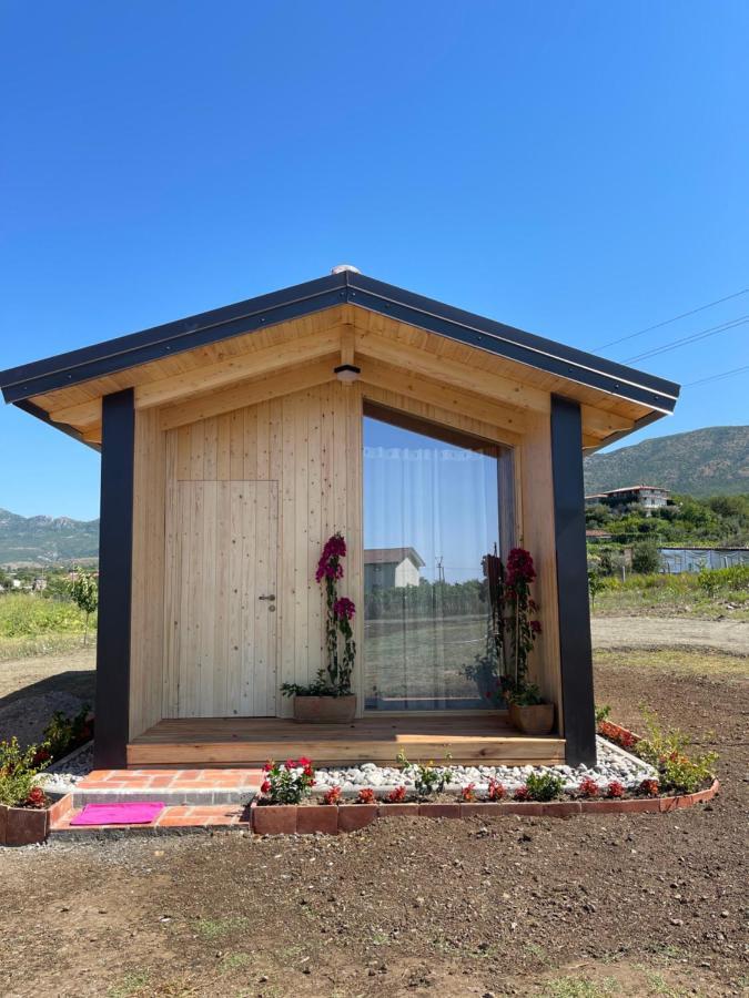 Fishta - Mrizi I Zanave Ferienhaus *