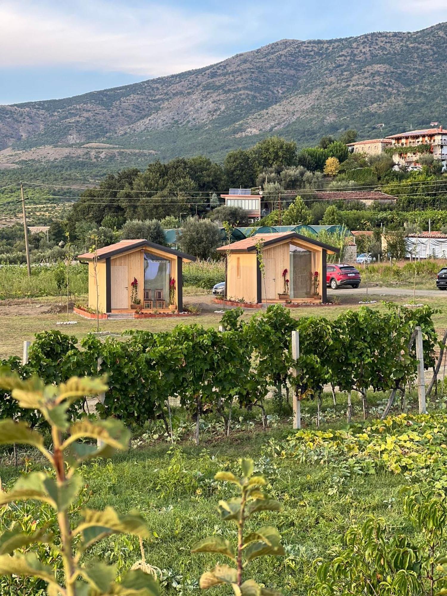 Fishta - Mrizi I Zanave Ferienhaus *