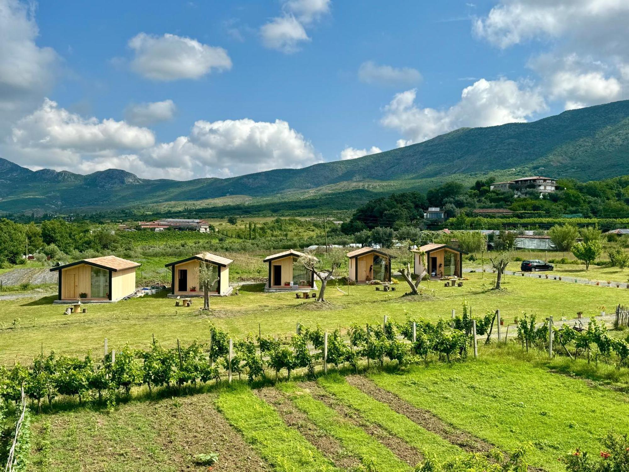 Ferienhaus Fishta - Mrizi I Zanave Fishte