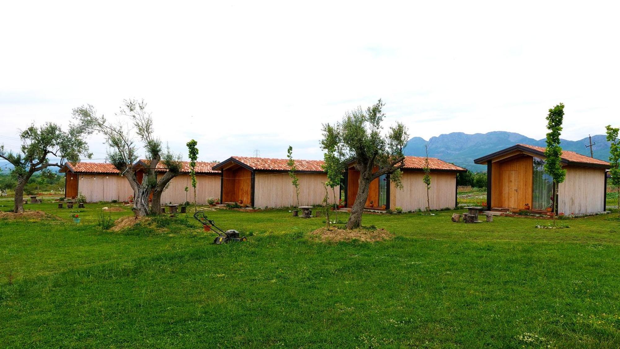 Ferienhaus Fishta - Mrizi I Zanave *