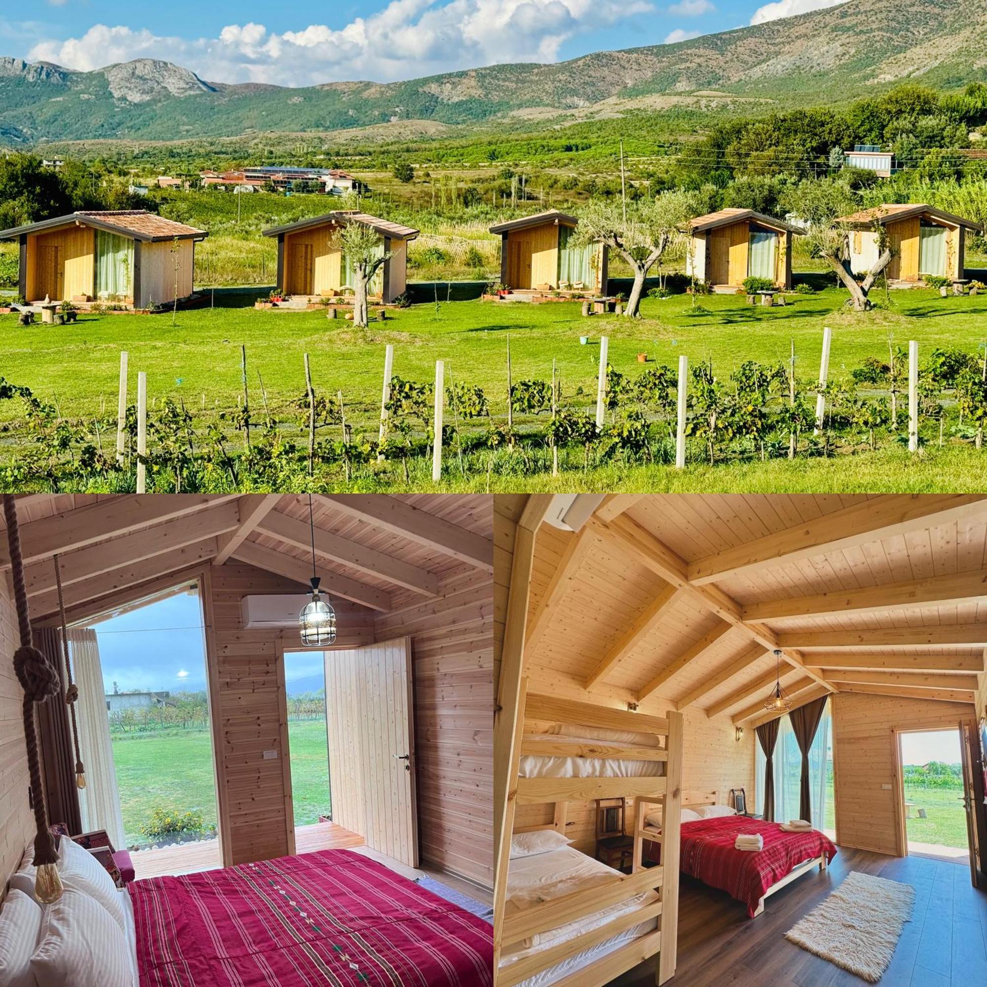 Fishta - Mrizi I Zanave Ferienhaus Fishte